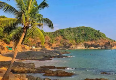 Harishchandragad Trek